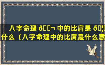 八字命理 🐬 中的比肩是 🦋 什么（八字命理中的比肩是什么意思）